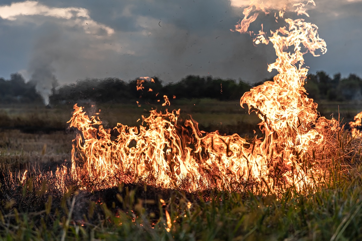 Incendiu de vegetație în câmp deschis, ilustrând necesitatea măsurilor de prevenire și stingere a incendiilor